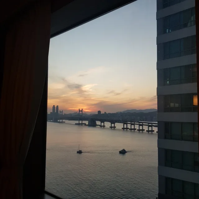 제니씨