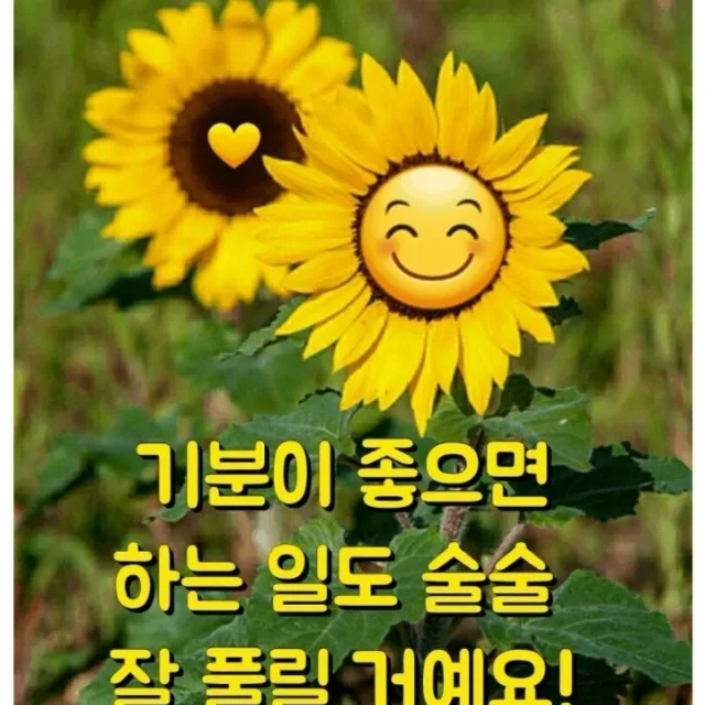 조아