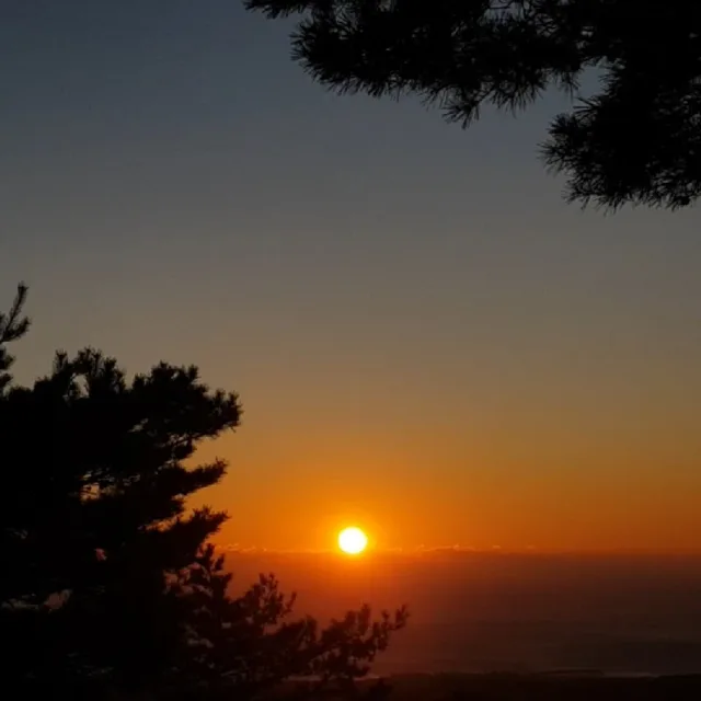로버펄0울산0창원