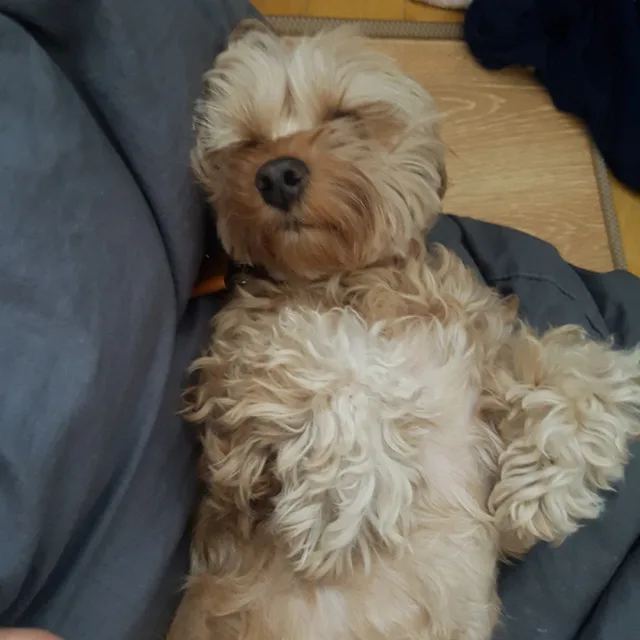 육님