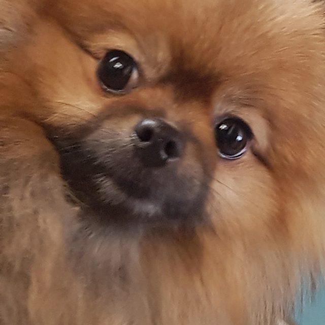 엣템