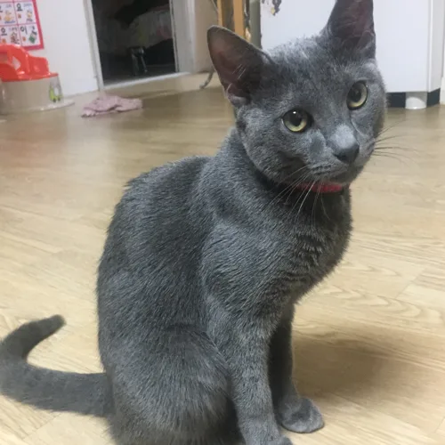 오케바리