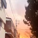 인사미