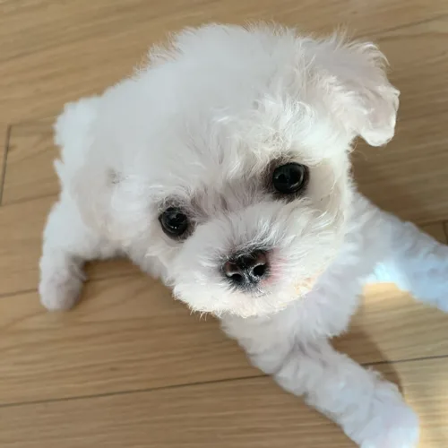 유즈브
