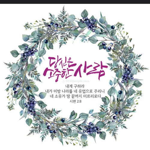 샬로미