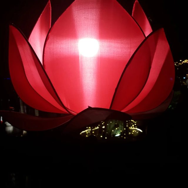 란이