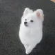 우유니