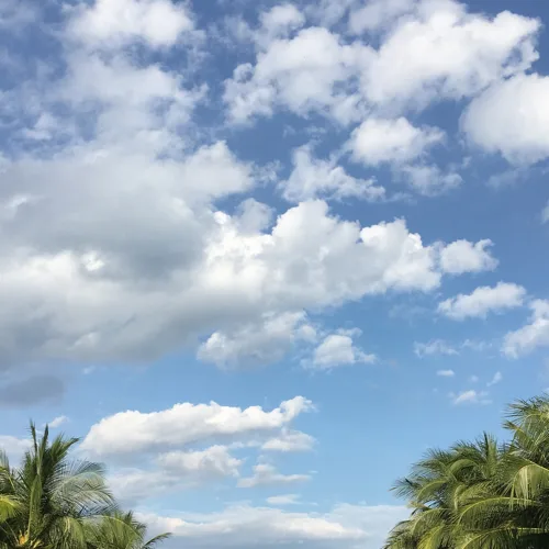 행복