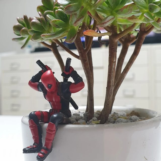 colafreak