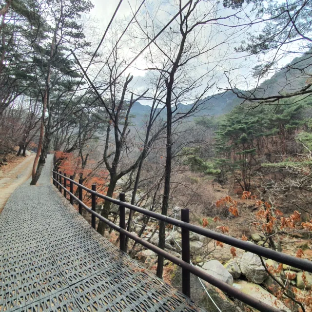 칸토