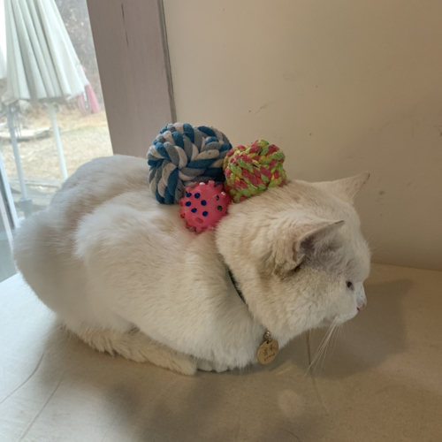 듀오