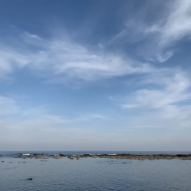 코코파파