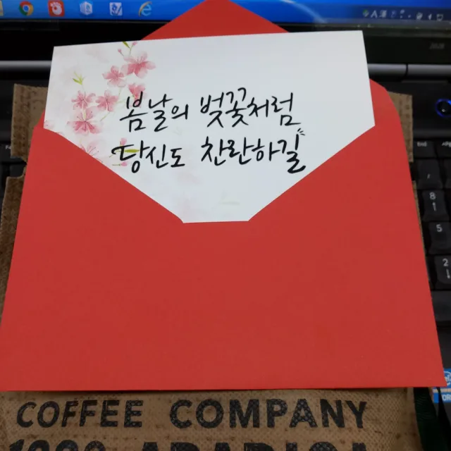 백선생