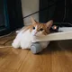 와이프대신나왔습니다