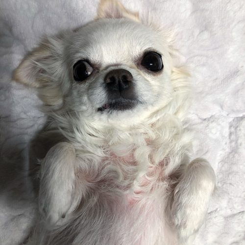 문의