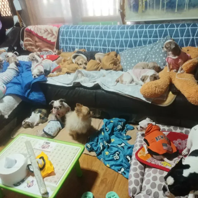 마녀어멈