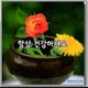 디딤돌