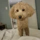 가을바람