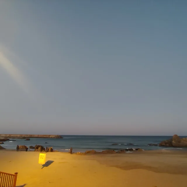 사라조