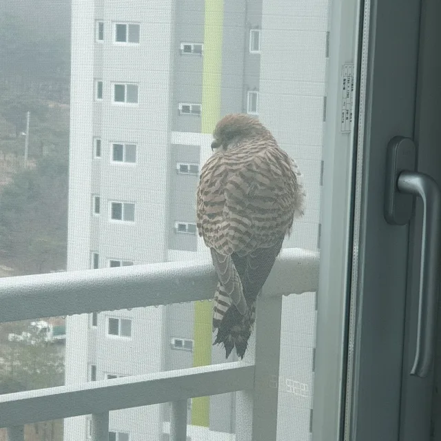 profile