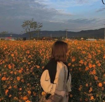 솜이인뎅