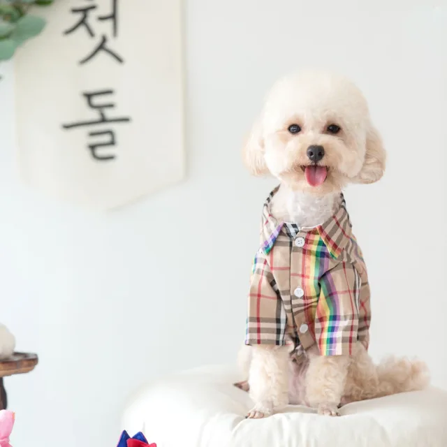 쥬쥬
