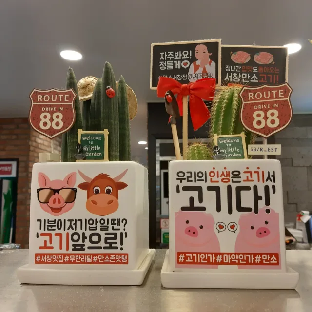수니