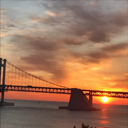 발발