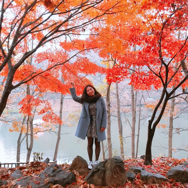 짝별