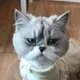 당나