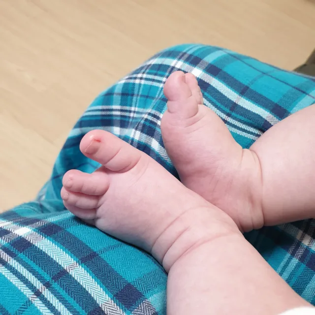 복덩스
