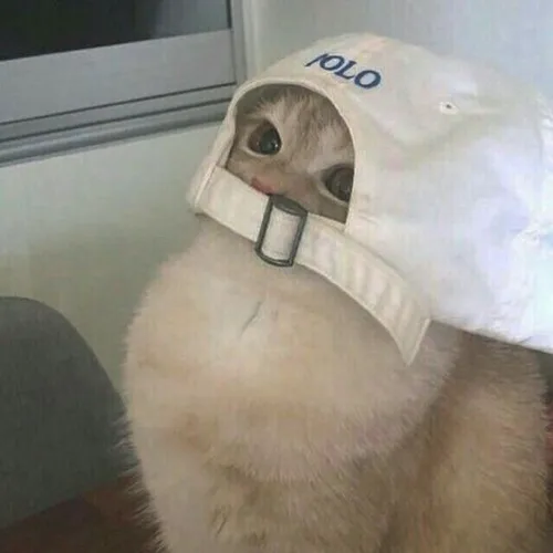 후로