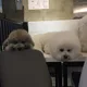 신부동입니다