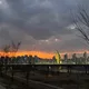 세종맘