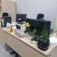 푸르지오한