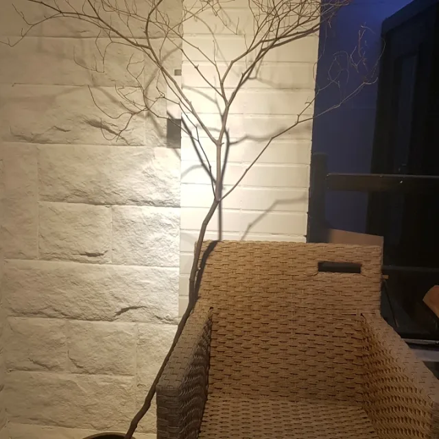 하나22