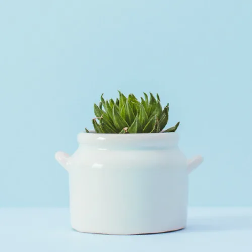 까꿍