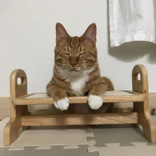 이순돌