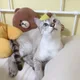 탱맘