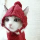 린제이