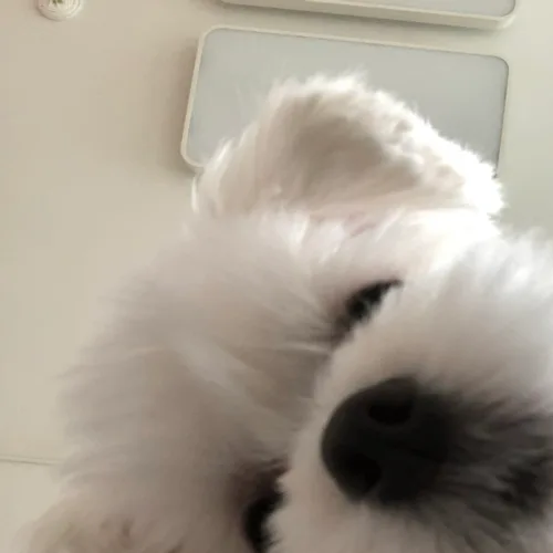 해덩