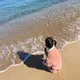 4공4공