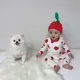 쨔니
