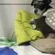 슈나킹