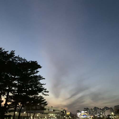 와다닥