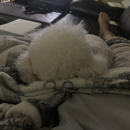 똬똬