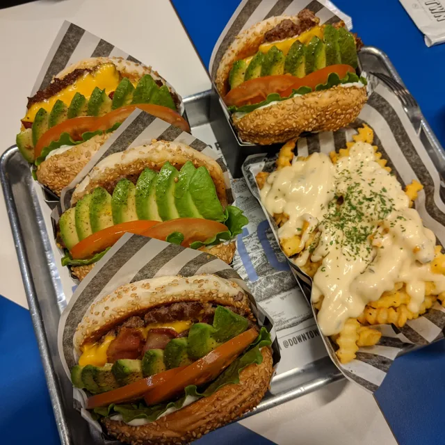 다시날다