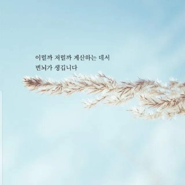 하루