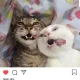 일상의피곤함