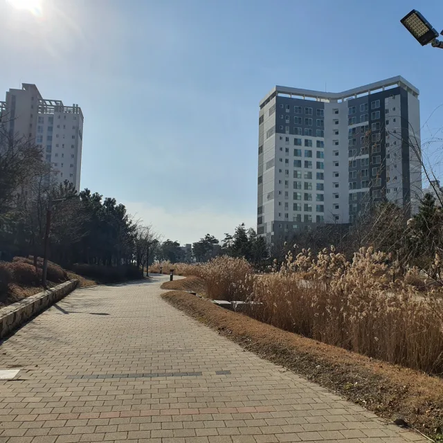 좋은날616